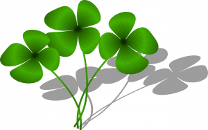 clovers-161400_1280