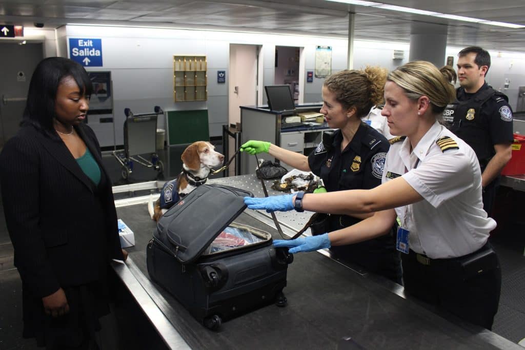 Comment fonctionne le scanner de l&rsquo;aéroport ?